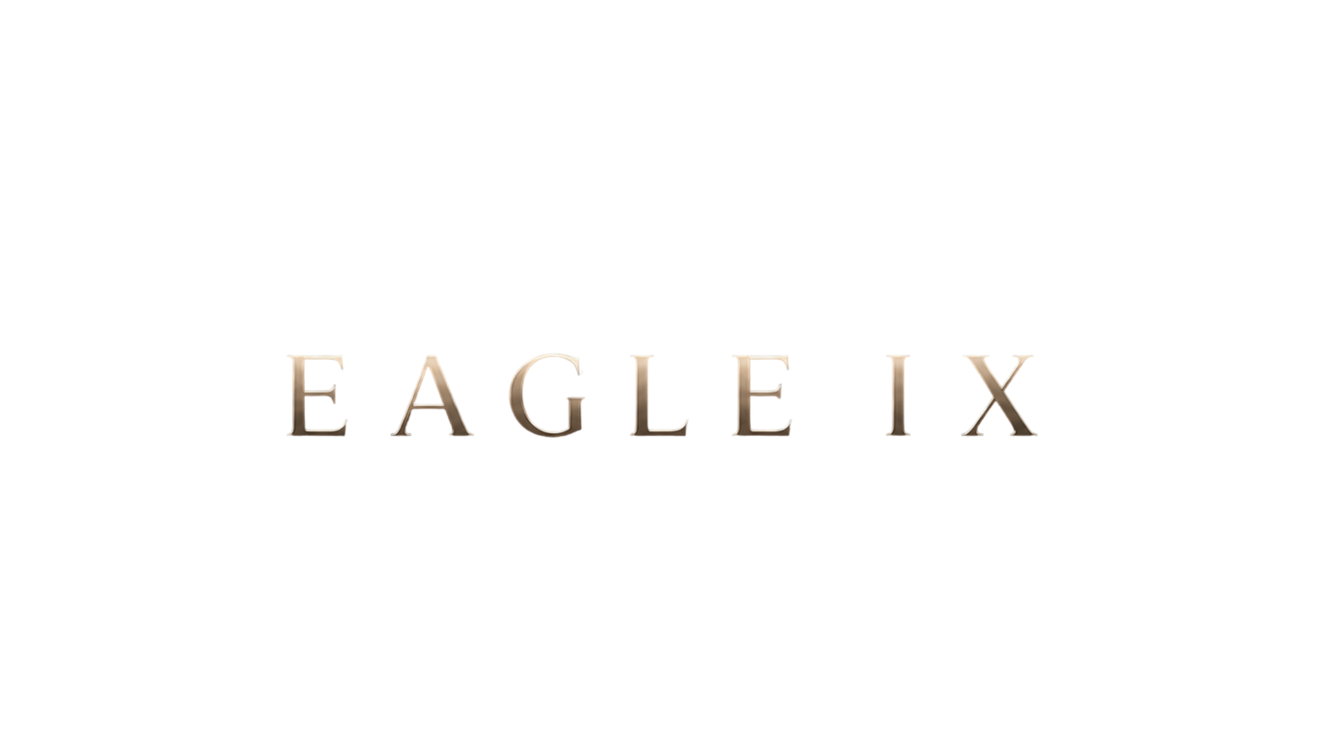 EAGLE IX Financial Systems